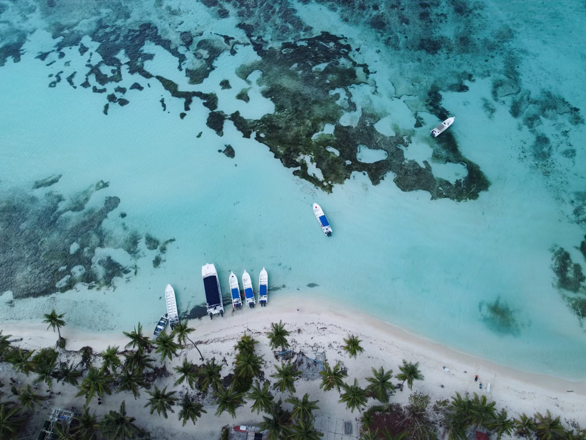 Kurs nach Saona: Natur, Geschichte und Schnorcheln